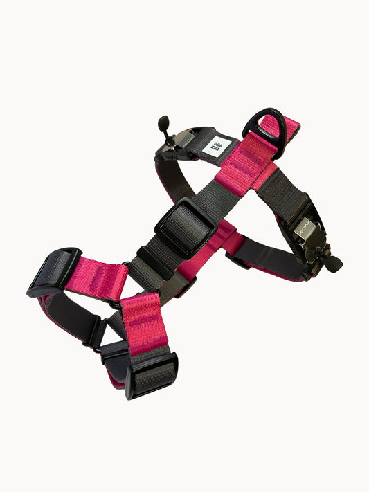 Dog harness