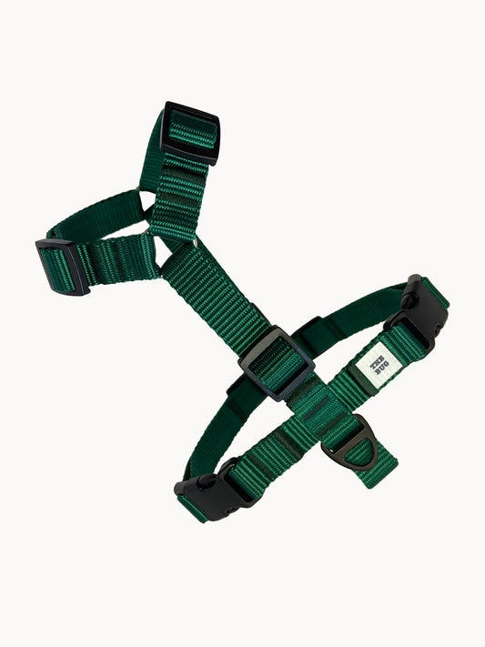 Dog harness