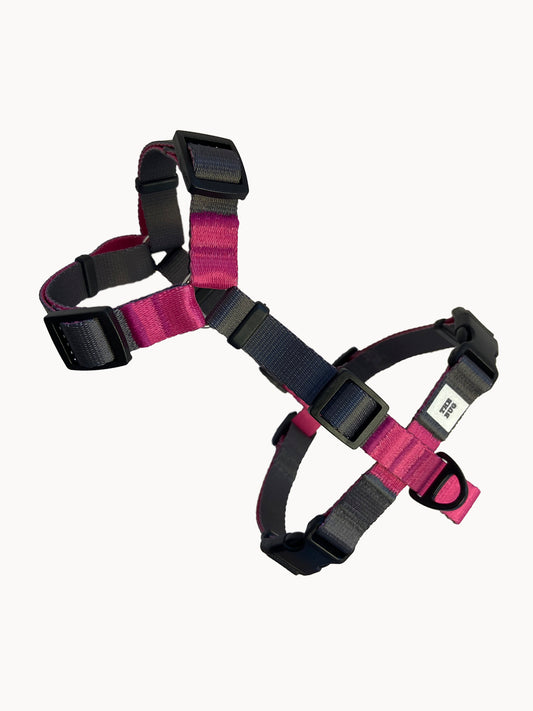 Dog harness